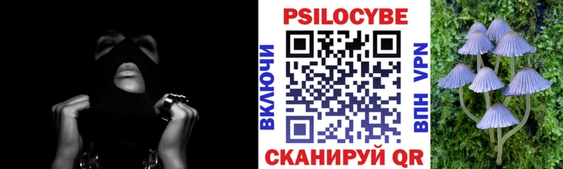 Псилоцибиновые грибы ЛСД  как найти наркотики  ОМГ ОМГ как зайти  это формула  Куровское 
