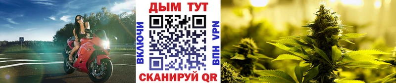 Каннабис SATIVA & INDICA ОМГ ОМГ зеркало Куровское где найти